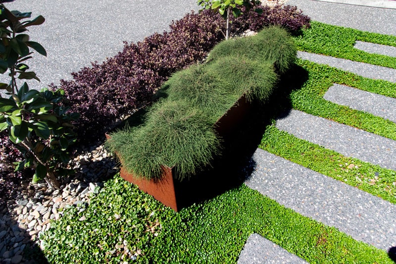 Residential Landscaping Wollongong Planting and turf in new front garden