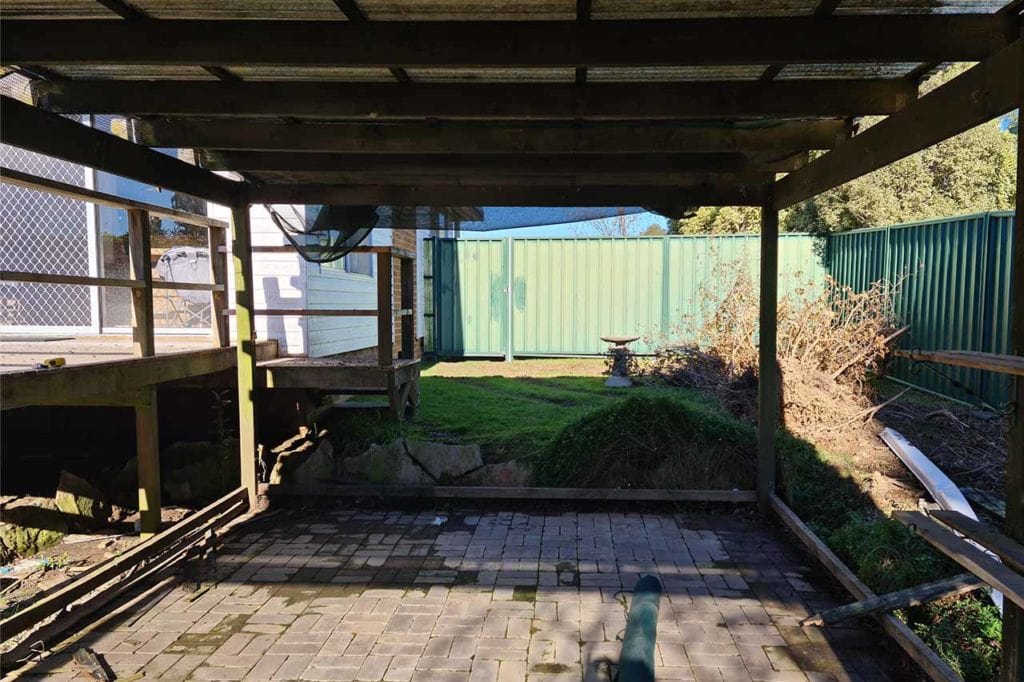 Overgrown garden before landscape makeover
