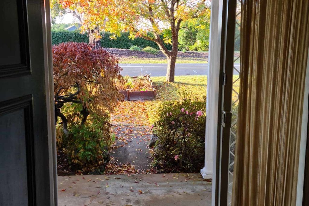 Front garden from door entrance before landscaping