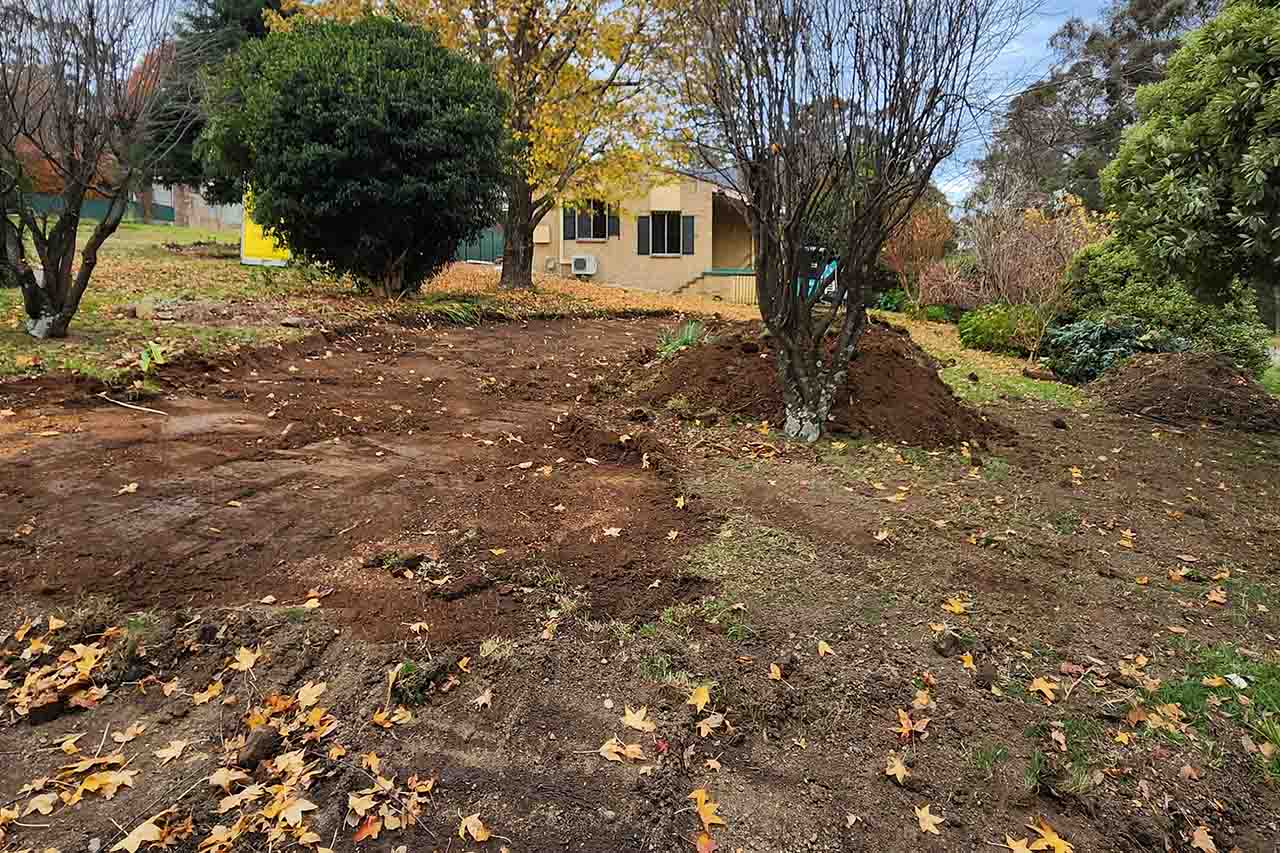 Before landscape makeover Bundanoon